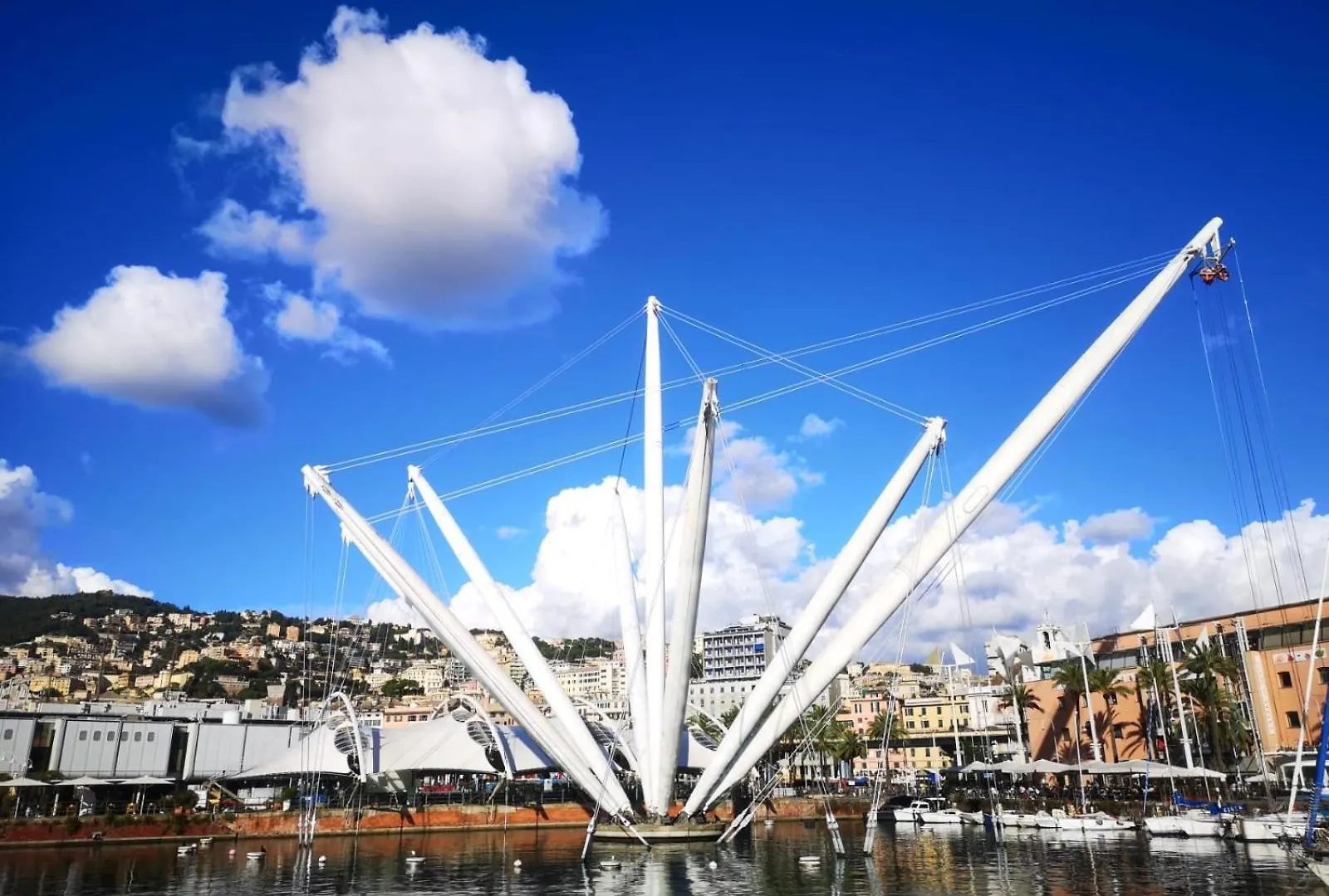 Il Nido Di Zena Apartment Genoa